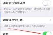 如何设置苹果手机通知闪光灯（让闪光灯成为你手机的提醒官）