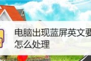 台式电脑无盘启动的处理方法（轻松应对台式电脑无法启动的问题）