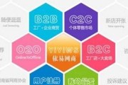 构建高效的B2C电子商务网站（实现在线购物的便利与安全）