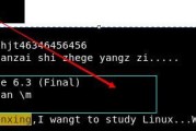 Linux与Unix的区别与联系（深入比较两大操作系统的特点和演变）