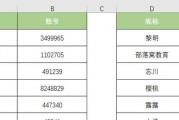 如何利用Excel格式刷快速刷写主题文章（掌握关键技巧）