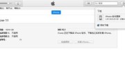 如何通过苹果手机刷机？（详细的图文教程帮助您完成。）