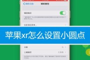 如何在iPad上设置小圆点进行截图？遇到问题怎么办？