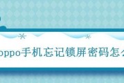 如何解锁忘记的手机锁屏密码（简单有效的密码找回方法，让你的手机重新开启）