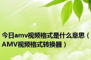 AMV视频格式转换器推荐（选择最适合你的AMV视频格式转换器）