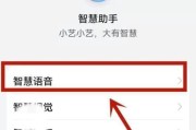 小布语音唤醒设置指南（轻松实现语音唤醒，掌控智能生活）