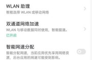 解决WiFi已连接但无法访问网络的问题（探索WiFi连接问题的原因和解决方案）