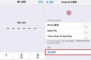 解决iPhone付款被拒问题的技巧（应对iPhone付款方式被拒的实用方法）