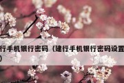 如何设置手机密码保护你的隐私（手机密码设置教程）