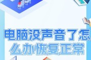 一体机连接电脑无声如何解决？电脑声音问题的排查方法是什么？