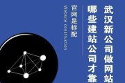 选择专业网站制作公司的重要性（为什么要选择专业网站制作公司）