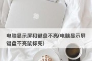 电脑显示屏不亮的原因及解决方法（解决电脑显示屏不亮的常见问题和技巧）