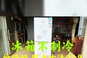 冰箱发热不制冷怎么办（冰箱制冷失效）