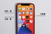 iPhone死机怎么办（应对iPhone死机的有效方法）