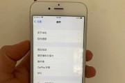 iPhone截图技巧大揭秘（快速、简便的iPhone截图步骤及技巧分享）