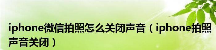 苹果手机拍照如何关闭声音（简单设置让拍照更隐秘）