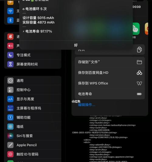 如何查询iPad电池寿命（简单了解iPad电池寿命查询步骤）