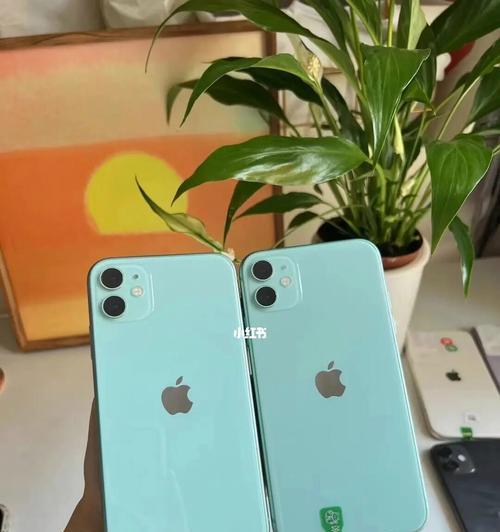 美版iPhone与国行iPhone的区别对比（解读美版iPhone和国行iPhone的差异，为你选择合适的手机提供参考）