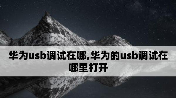 华为手机如何打开USB调试模式（详解华为手机USB调试模式的使用方法）