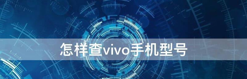 揭秘vivo手机使用时长（通过怎样查看手机使用时长来了解vivo用户的习惯）