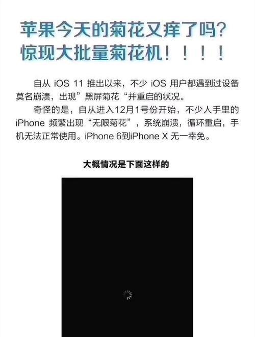 iPhone相机黑屏解决方法（解决iPhone相机显示黑屏问题的有效措施）