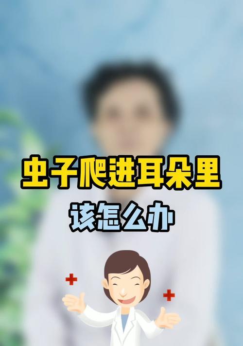 如何利用投影仪解决虫子问题（投影仪对抗虫害的实用方法）