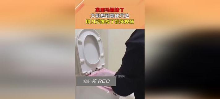 家里马桶堵了怎么办（教你简单有效地处理马桶堵塞问题）