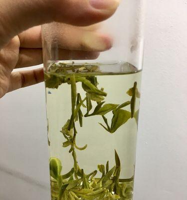 龙井茶怎么泡温度（龙井茶的泡法及配方）