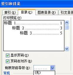 通过Word目录实现精确页码的方法（简单易行的页码设置技巧及注意事项）