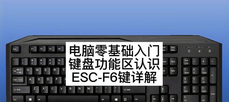 新手电脑键盘知识大全图解（掌握电脑键盘的基本知识）