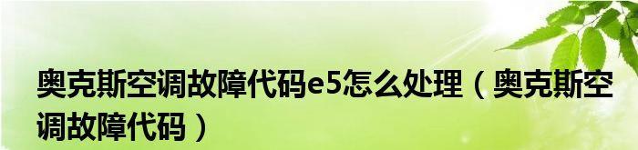 志高空调E5故障检测及处理方法（解决志高空调显示E5故障的有效方法）