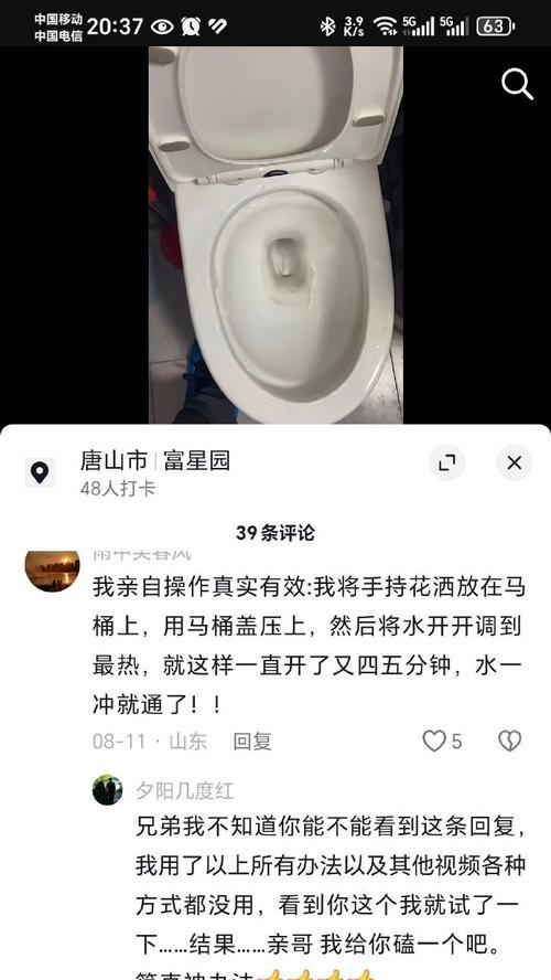 肥皂掉进马桶堵住了怎么办（解决马桶堵塞的实用方法）