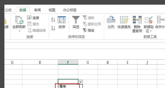 单元格选项怎么添加？添加新选项的步骤是什么？