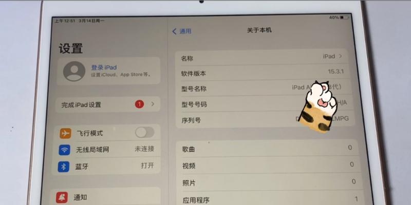 如何清理iPad内存垃圾？有效步骤是什么？