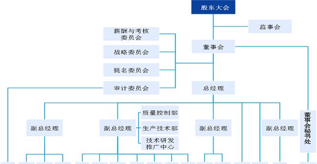 公司的性质有哪些？如何根据性质选择合适的公司类型？