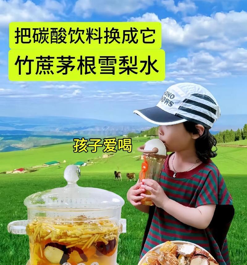 广东人喜欢喝什么茶以及背后的原因是什么？