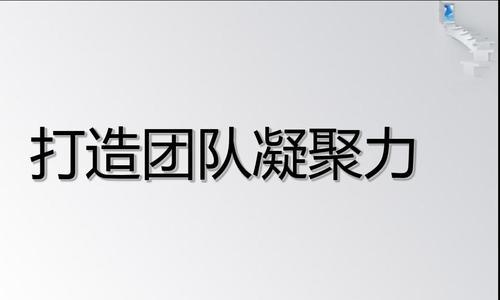 如何增强团队凝聚力和战斗力？有效策略有哪些？